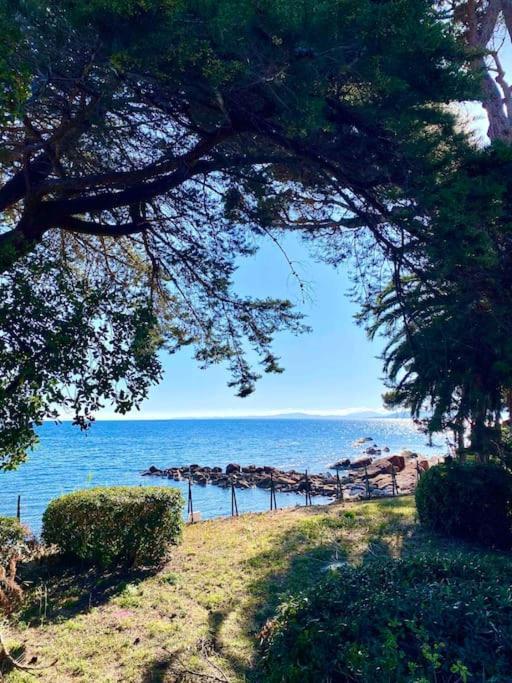 Studio Bord De Mer Boulouris A Saint Raphael Екстериор снимка